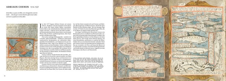 Produktbild: Das Buch des Meeres