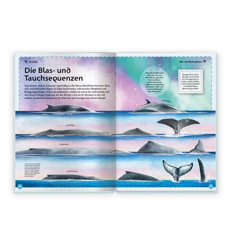 Produktbild: Tr&ouml;tsch Kinderbuch Das gro&szlig;artige Buch der Wale| Ab 8 Jahren
