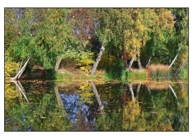 Produktbild: Herbstfarben (Tischaufsteller DIN A5 quer)