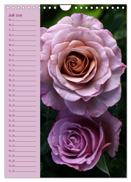 Produktbild: Rosen Symphonie (Wandkalender 2026 DIN A4 hoch), CALVENDO Monatskalender
