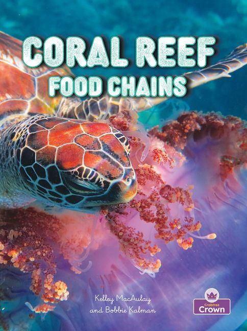 Produktbild: Coral Reef Food Chains