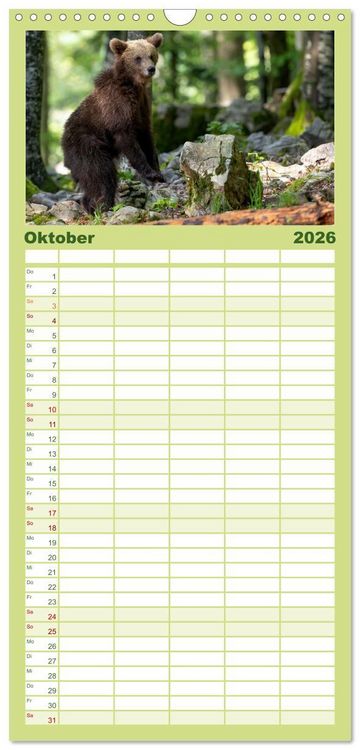 Produktbild: Familienplaner 2026 - Lautlos in den W&auml;ldern Sloweniens mit 5 Spalten (Wandkalender, 21 x 45 cm) CALVENDO