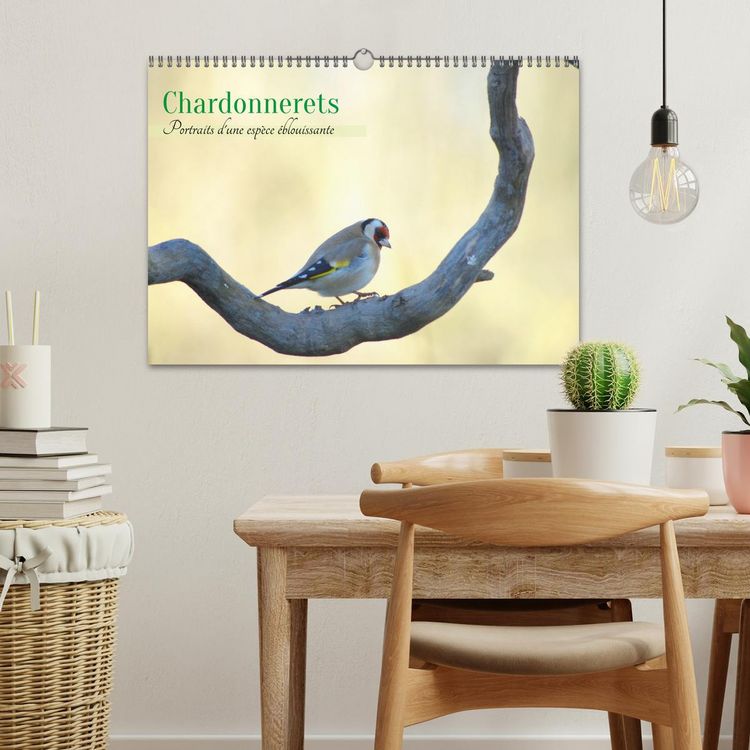 Produktbild: Chardonnerets - Portraits d'une esp&egrave;ce &eacute;blouissante (Calendrier mural 2026 DIN A3 vertical), CALVENDO calendrier mensuel