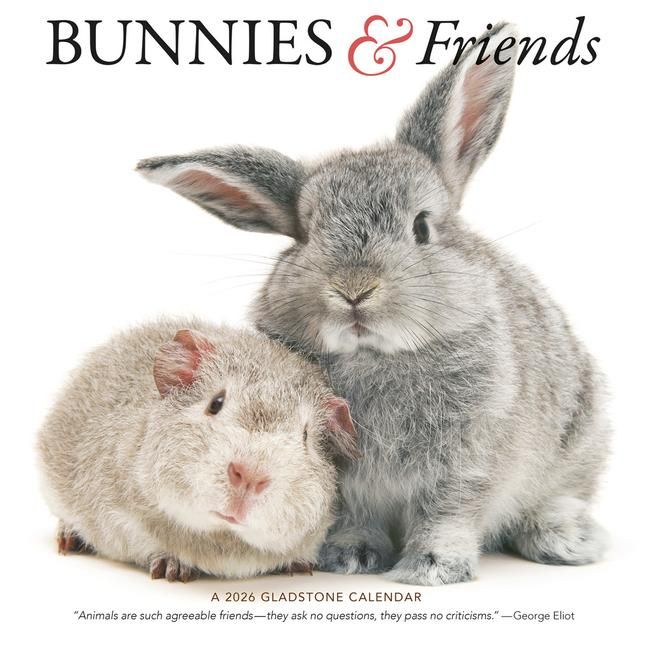 Produktbild: Bunnies & Friends