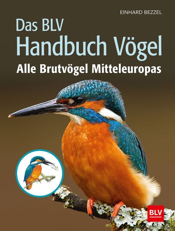 Produktbild: Das BLV Handbuch V&ouml;gel