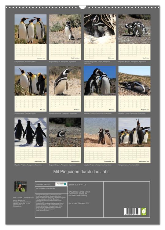 Produktbild: Mit Pinguinen durch das Jahr (Wandkalender 2026 DIN A2 hoch), CALVENDO Monatskalender