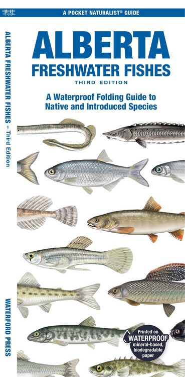 Produktbild: Alberta Freshwater Fishes, 3rd Ed