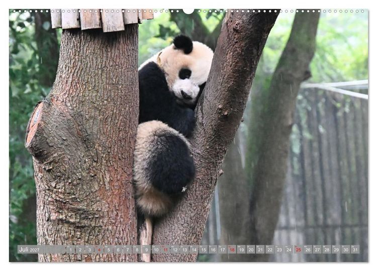 Produktbild: Erlebnis China (hochwertiger Premium Wandkalender 2027 DIN A2 quer), Kunstdruck in Hochglanz