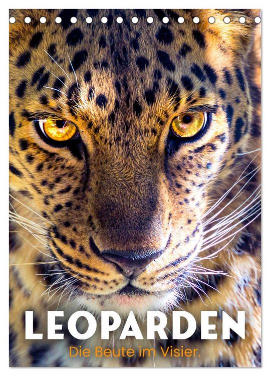Produktbild: Leoparden - Die Beute im Visier. (Tischkalender 2026 DIN A5 hoch), CALVENDO Monatskalender