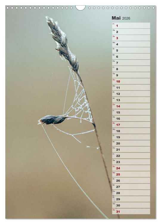 Produktbild: Kalender - Natur im Detail (Wandkalender 2026 DIN A3 hoch), CALVENDO Monatskalender