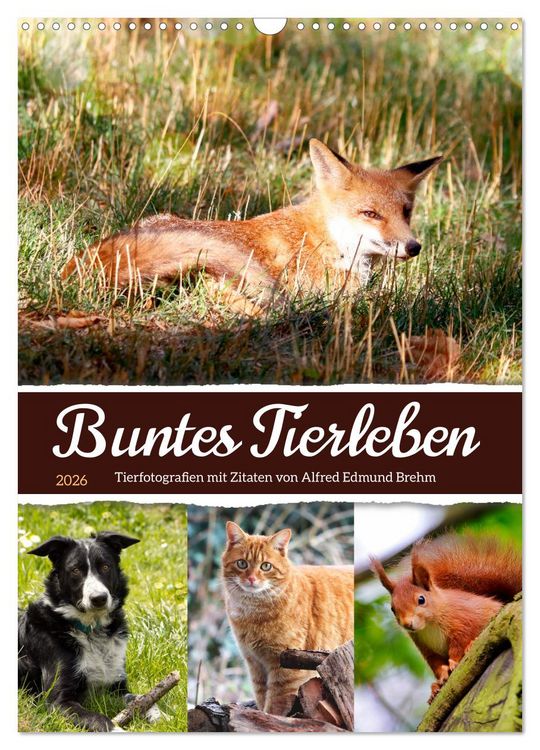 Produktbild: Buntes Tierleben (Wandkalender 2026 DIN A3 hoch), CALVENDO Monatskalender