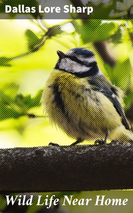 Produktbild: Wild Life Near Home