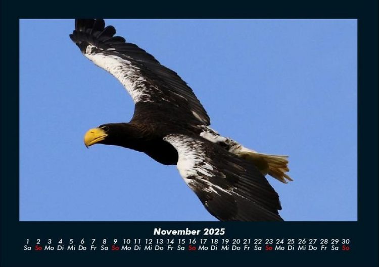 Produktbild: Adler 2025 Fotokalender DIN A4