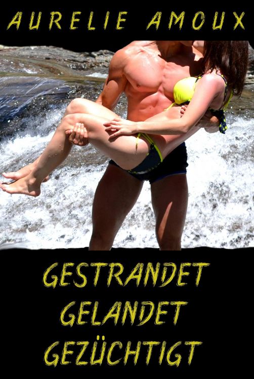Produktbild: Gestrandet, gelandet, gez&uuml;chtigt