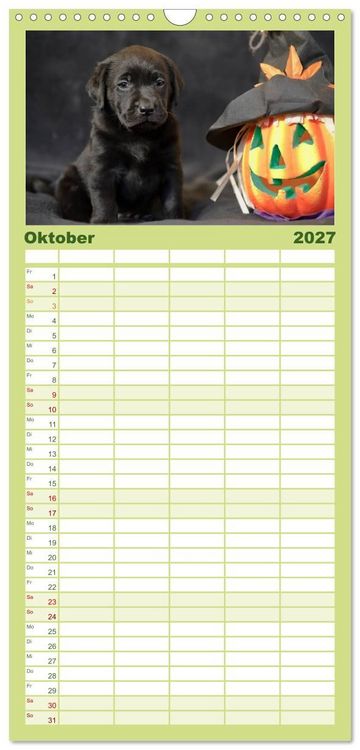 Produktbild: Familienplaner 2027 - Labrador Welpen mit 5 Spalten (Wandkalender, 21 x 45 cm) CALVENDO