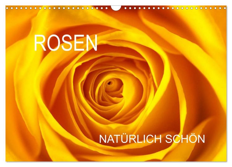 Produktbild: Rosen nat&uuml;rlich sch&ouml;n (Wandkalender 2026 DIN A3 quer), CALVENDO Monatskalender