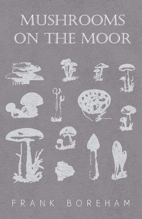 Produktbild: Mushrooms on the Moor