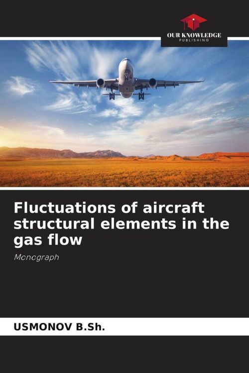 Produktbild: Fluctuations of aircraft structural elements in the gas flow