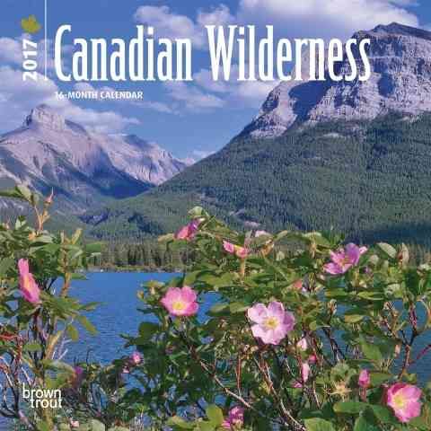 Produktbild: Canadian Wilderness 2017 Mini Wall