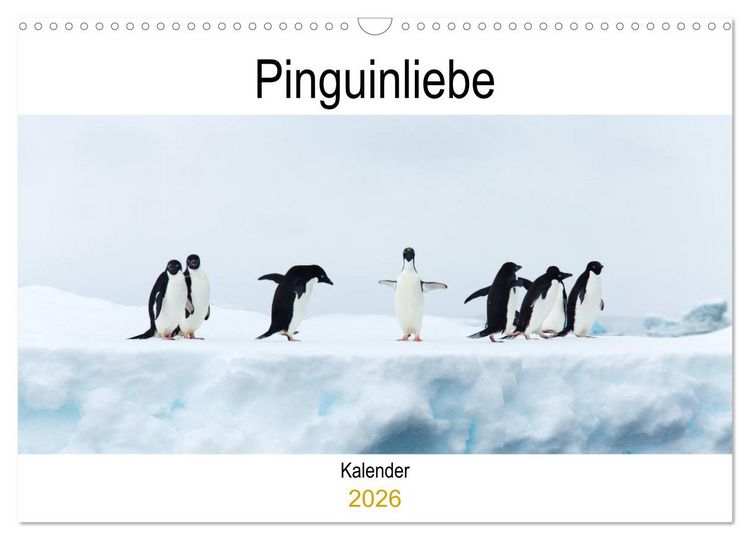 Produktbild: Pinguinliebe (Wandkalender 2026 DIN A3 quer), CALVENDO Monatskalender