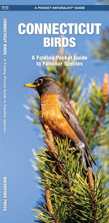 Produktbild: Connecticut Birds