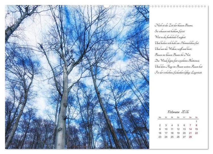 Produktbild: Max Dauthendey - Mit der Natur durchs Jahr (Wandkalender 2026 DIN A2 quer), CALVENDO Monatskalender