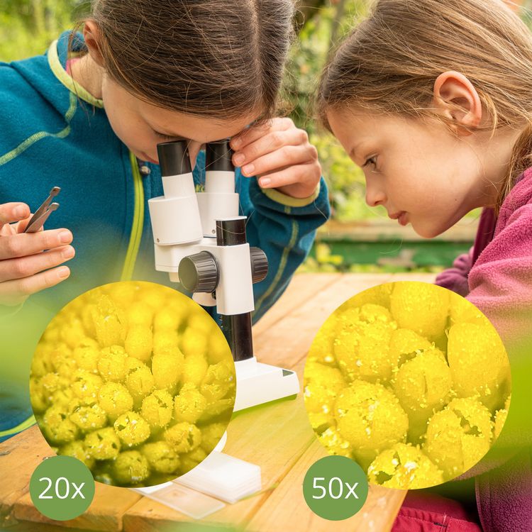 Produktbild: Bresser Junior 10312 - Kinder-Mikroskop Biolux ICD Pro 20x/50x, Auflicht- und Durchlichtmikroskop mit 20- und 50-facher Vergr&ouml;&szlig;erung