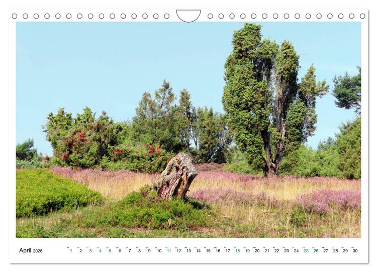 Produktbild: Die Eifel - Vulkane, Heidekraut und sanfte H&uuml;gel (Wandkalender 2026 DIN A4 quer), CALVENDO Monatskalender