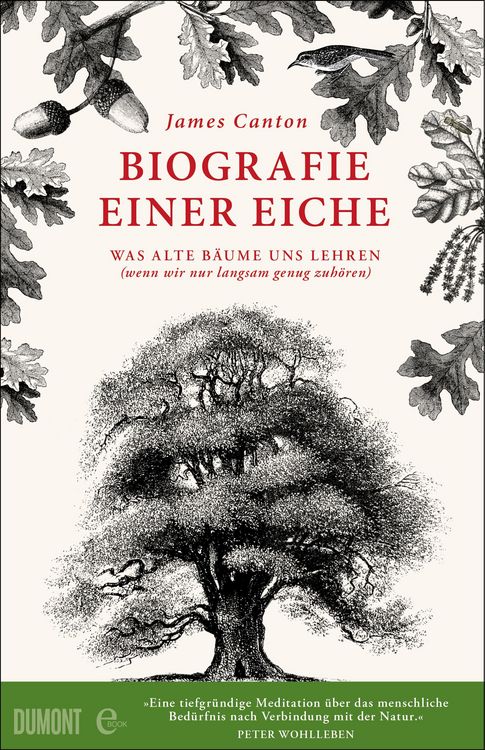 Produktbild: Biografie einer Eiche