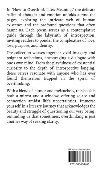 Produktbild: How to Overthink Life's Meaning