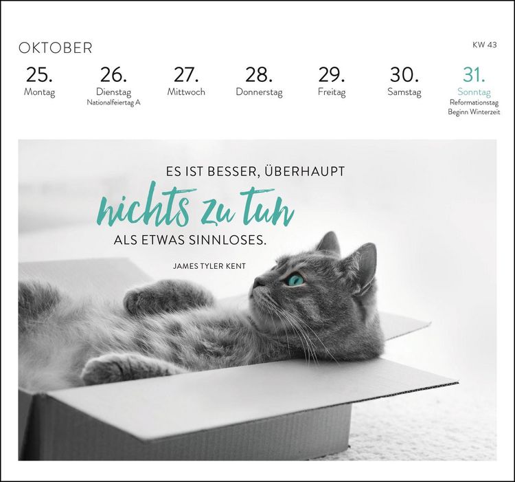 Produktbild: Postkartenkalender 2027: Inspirierende Worte f&uuml;r Katzenfreunde