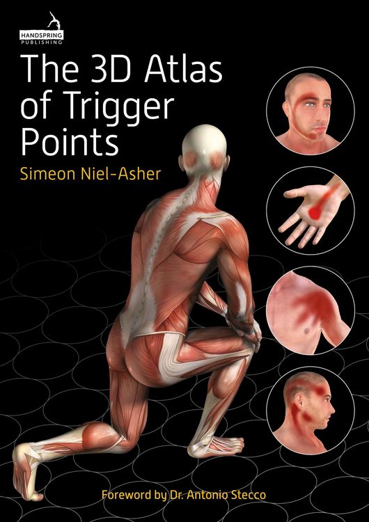 Produktbild: The 3D Atlas of Trigger Points