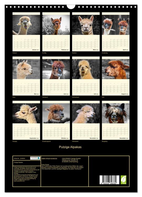 Produktbild: Putzige Alpakas (Wandkalender 2026 DIN A3 hoch), CALVENDO Monatskalender