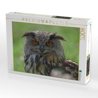 Produktbild: CALVENDO Puzzle Uhu | 1000 Teile Lege-Gr&ouml;&szlig;e 64x48cm Foto-Puzzle f&uuml;r gl&uuml;ckliche Stunden