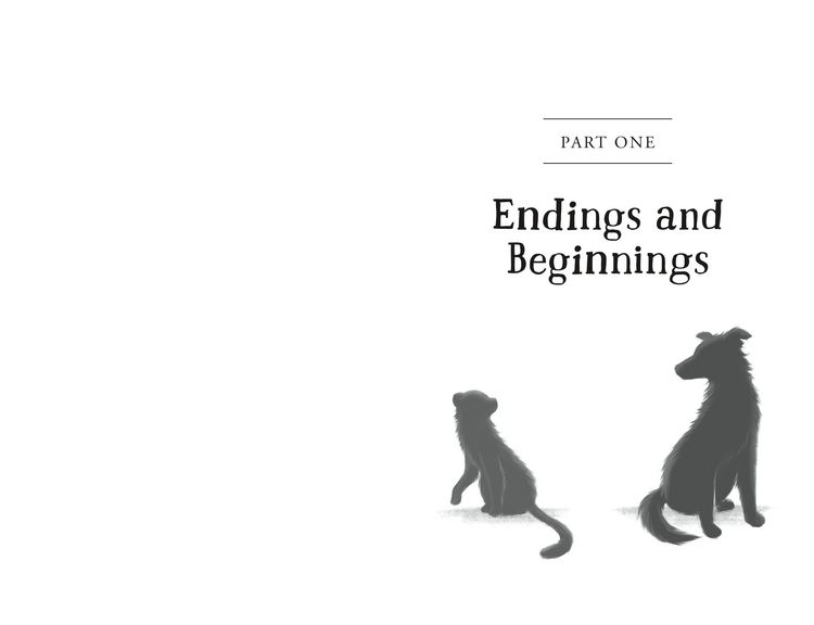 Produktbild: The Unlikely Tale of Chase and Finnegan