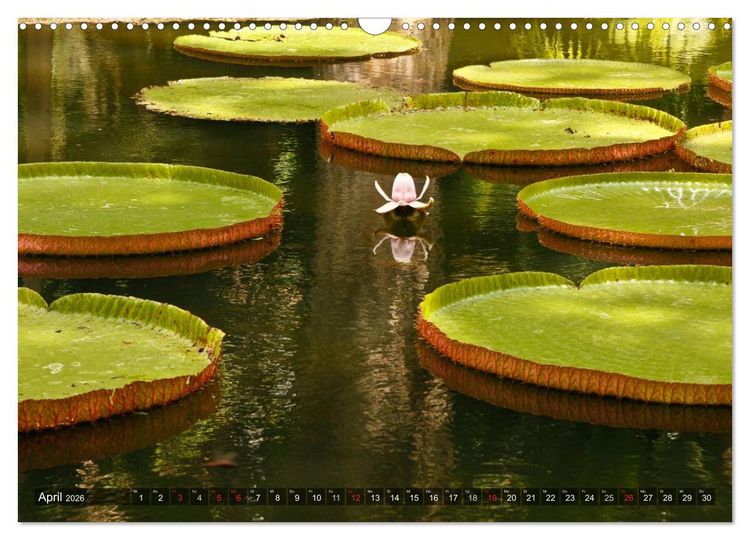 Produktbild: Mauritius - Trauminsel im Indischen Ozean (Wandkalender 2026 DIN A3 quer), CALVENDO Monatskalender