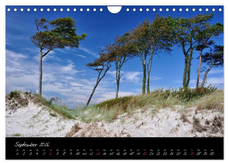 Produktbild: Sommer im Fischland-Dar&szlig;-Zingst (Wandkalender 2026 DIN A4 quer), CALVENDO Monatskalender