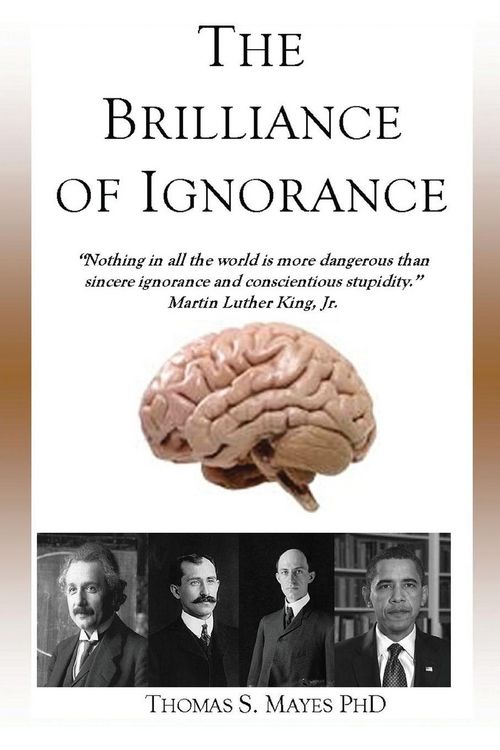 Produktbild: The Brilliance of Ignorance