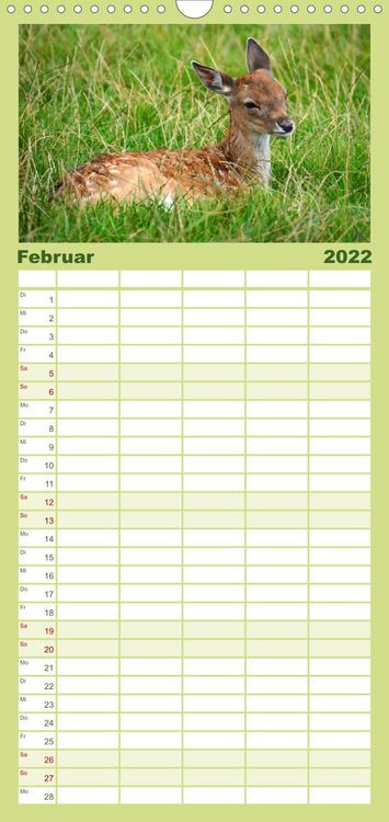 Produktbild: Familienplaner Die lieben Kleinen ... Tierkinder einfach zum Knuddeln (Wandkalender 2022 , 21 cm x 45 cm, hoch)