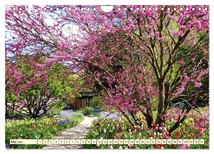 Produktbild: Weinheim im Herzen der Bergstra&szlig;e (Wandkalender 2027 DIN A4 quer), CALVENDO Monatskalender