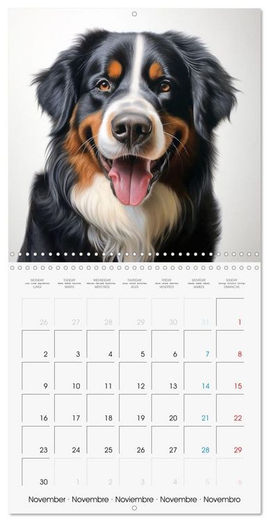 Produktbild: Portraits de grands chiens (Calendrier mural carr&eacute; 2026 30x30 cm) Calendrier double avec une page pour vos prises de notes