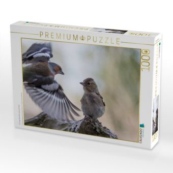 Produktbild: CALVENDO Puzzle Ein junger Buchfink wartet auf Futter | 1000 Teile Lege-Gr&ouml;&szlig;e 64x48cm Foto-Puzzle f&uuml;r gl&uuml;ckliche Stunden