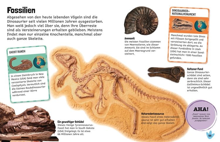 Produktbild: Sticker-Lexikon. Dinosaurier