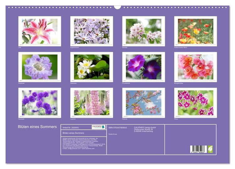 Produktbild: Bl&uuml;ten eines Sommers (Wandkalender 2026 DIN A2 quer), CALVENDO Monatskalender