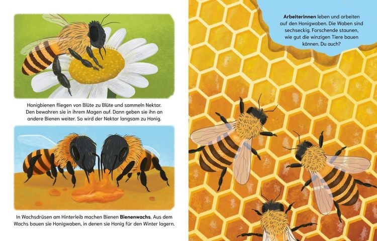 Produktbild: Sind Bienen kleine Superhelden? (Gute Frage!)
