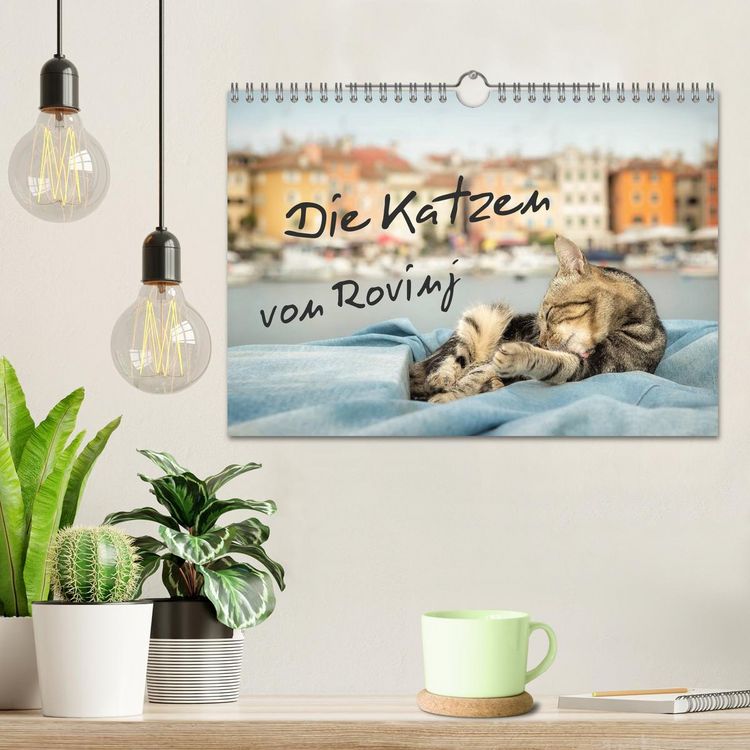 Produktbild: Die Katzen von Rovinj (Wandkalender 2026 DIN A4 quer), CALVENDO Monatskalender
