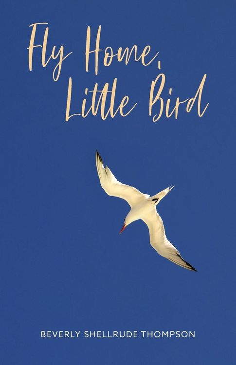 Produktbild: Fly Home, Little Bird
