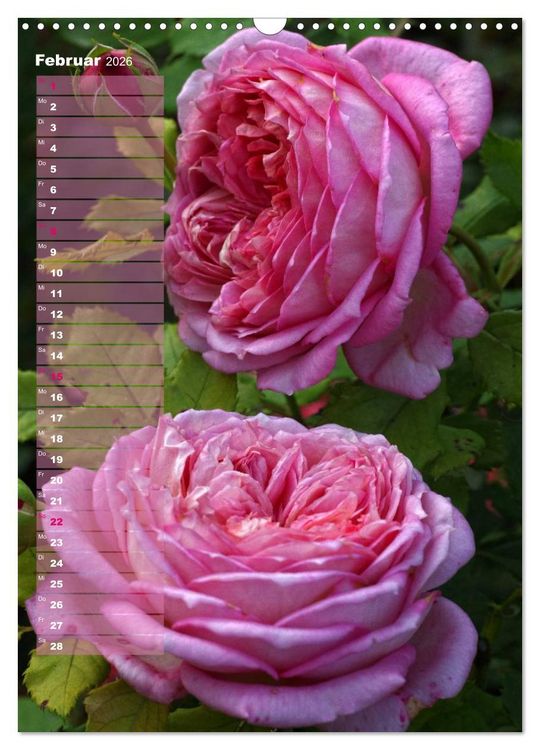 Produktbild: Rosen f&uuml;r DICH / Geburtstagskalender (Wandkalender 2026 DIN A3 hoch), CALVENDO Monatskalender