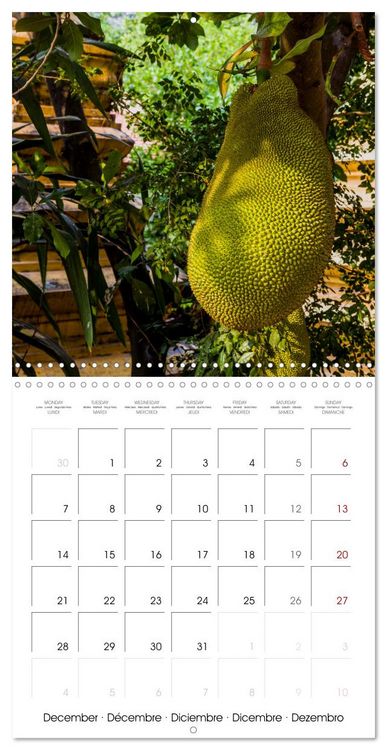 Produktbild: Siem Reap City of Temples Cambodia (Wall Calendar 2026 12 &times; 12 Inch) CALVENDO 12 Month Wall Calendar