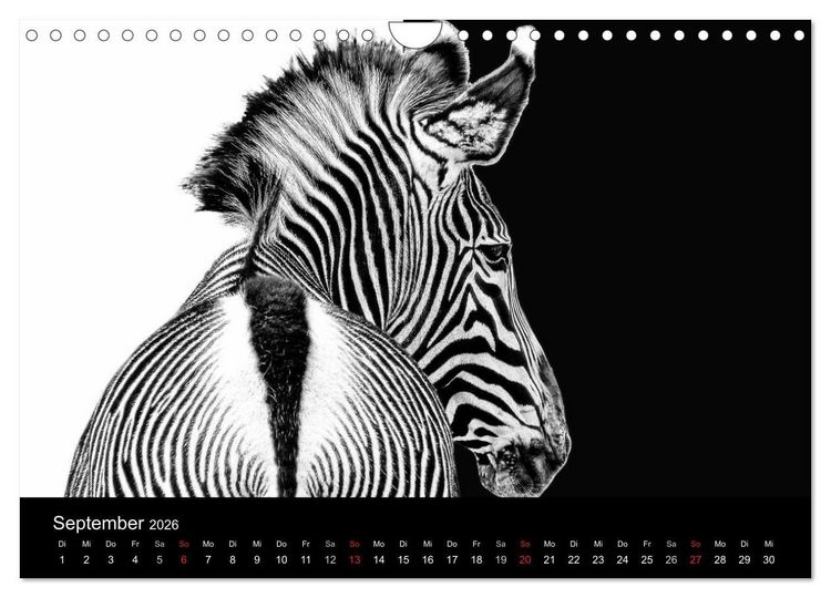 Produktbild: Tierisches (Wandkalender 2026 DIN A4 quer), CALVENDO Monatskalender